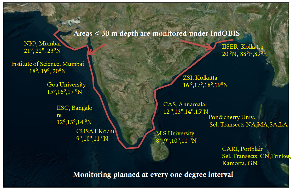 Marine biodiversity