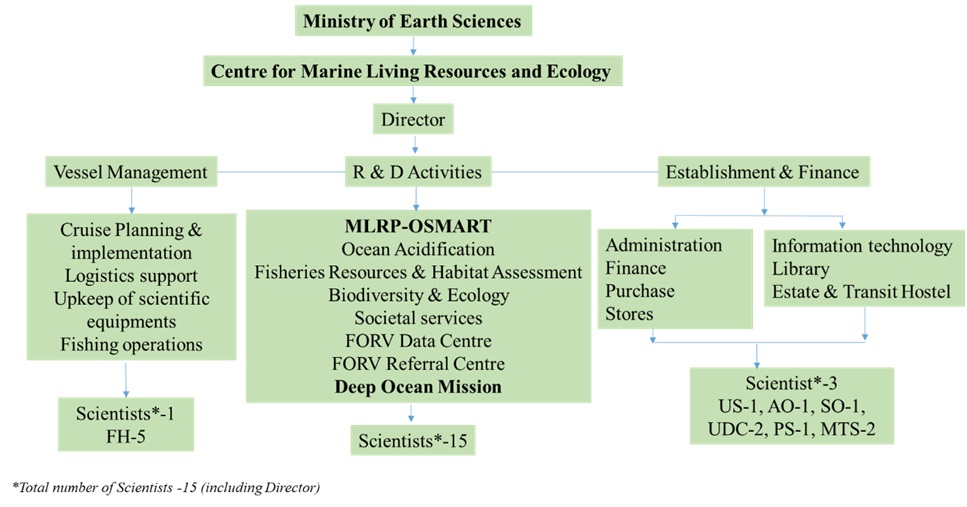 Organization Chart